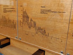 uffz.-ausflug 2025011